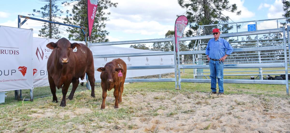 Vendor Barry Lindemann with the top priced female, Linlands 874 (P), bought by Lindsay Park stud, Kyogle, NSW.