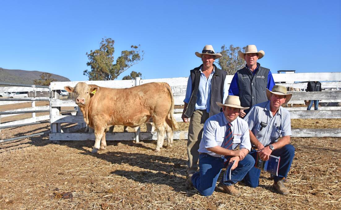 Minnie-Vale Charolais stud principal, Jason Salier, Tim Hollis, James Bradford Rural, Gunnedah, Davidson Cameron & Co auctioneer, Luke Scicluna, and Vaughn Nowland, “Thirlmere”, Rangari, with Minnie-Vale Moonshine which sold for an equal-top price of $10,000.