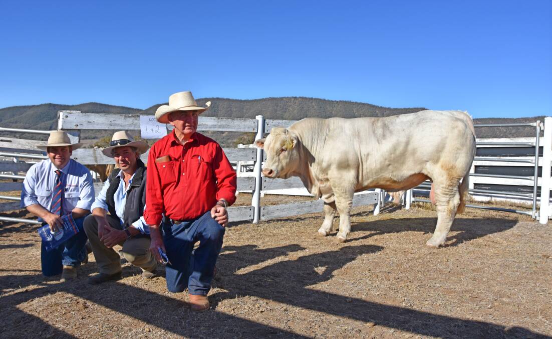 Minnie-Vale Charolais stud principal, Jason Salier, Davidson Cameron & Co auctioneer, Luke Scicluna, and Hugh McDonald, “Bellbowrie”, Dorrigo, with Minnie-Vale Magic, which sold for an equal-top price of $10,000.