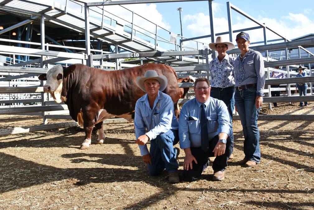 Vendor Jackie Amor, Carinya Braford stud, Dulacca, buyers Donna and (kneeling) Russell Kenny, Harriett Valley stud, Gayndah, and selling agent Mark Duthie, GDL, with the $50,000 sale equal topper, Carinya Yenda (P). 