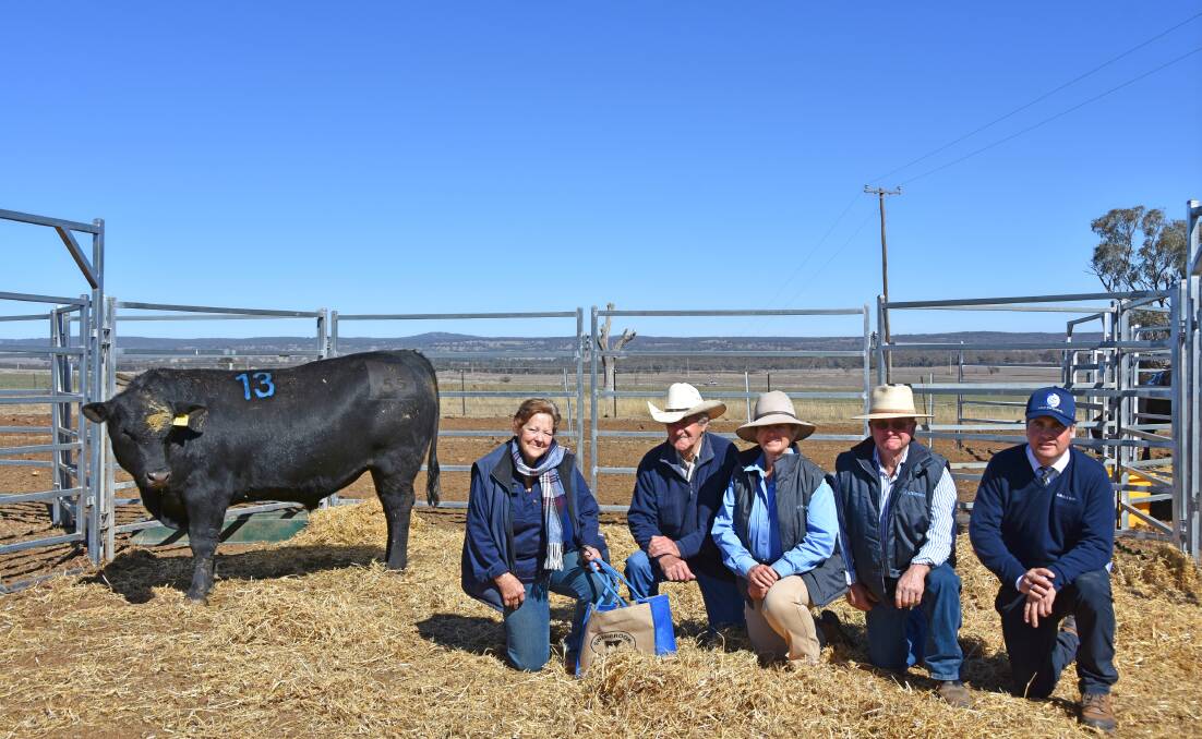 David and Jo Hands, “Killara”, Barraba, Swanbrook Angus stud principals Glynis and Brian Turner, and Nathan Purvis, Colin Say & Co, with Swanbrook Federal M55, which made a second-top price of $8000.