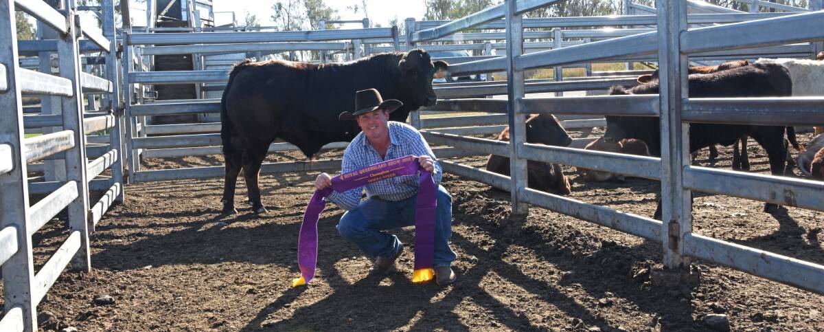 Ben Fogg with the Cook family's Limousin-cross steer that claimed the Queensland Country Life champion single steer ribbon and the Elders shield of excellence.