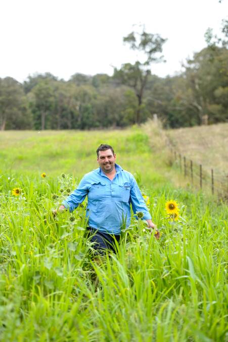 Walcha's Sam Martin in his crop that boasts more than 18 different species. Photo: Lucy Kinbacher