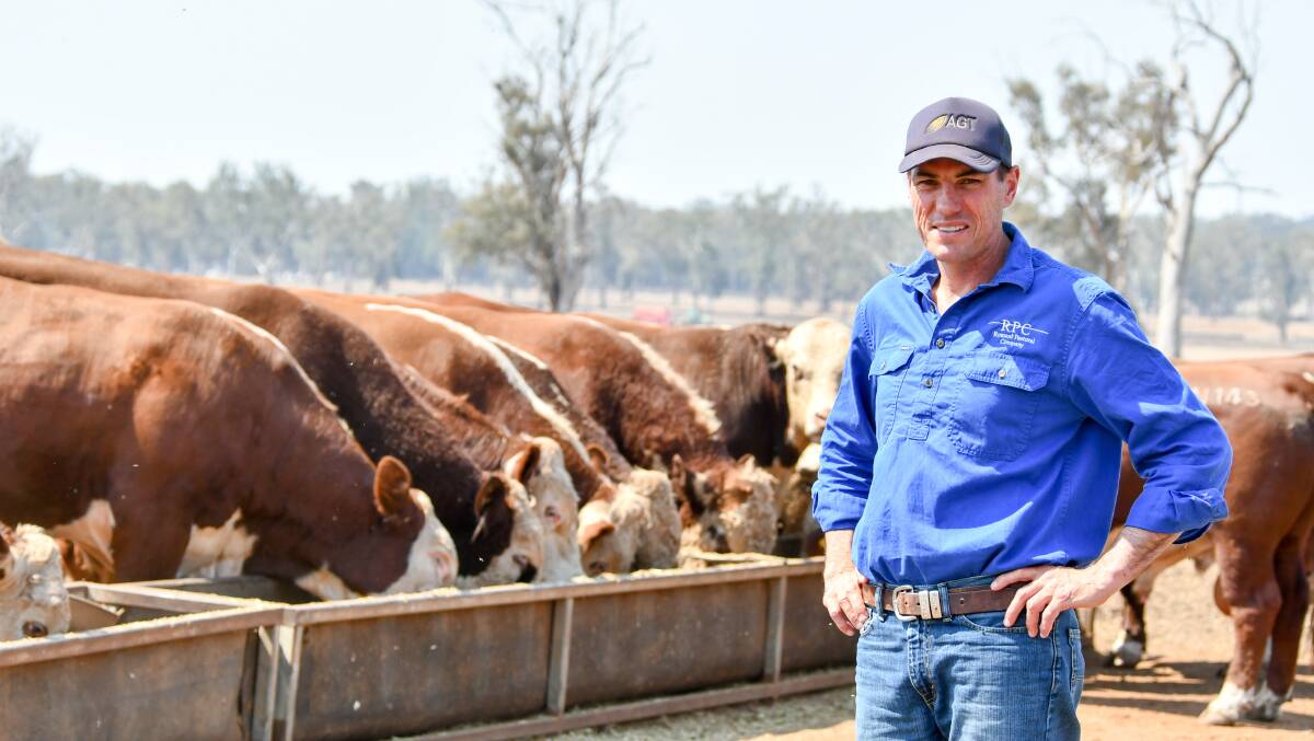 Windy Station manager David Lee oversees the running of the combined properties, Windy Station and Warrah, which comprises of a self-replacing beef herd and dryland cropping. Photos: Lucy Kinbacher 