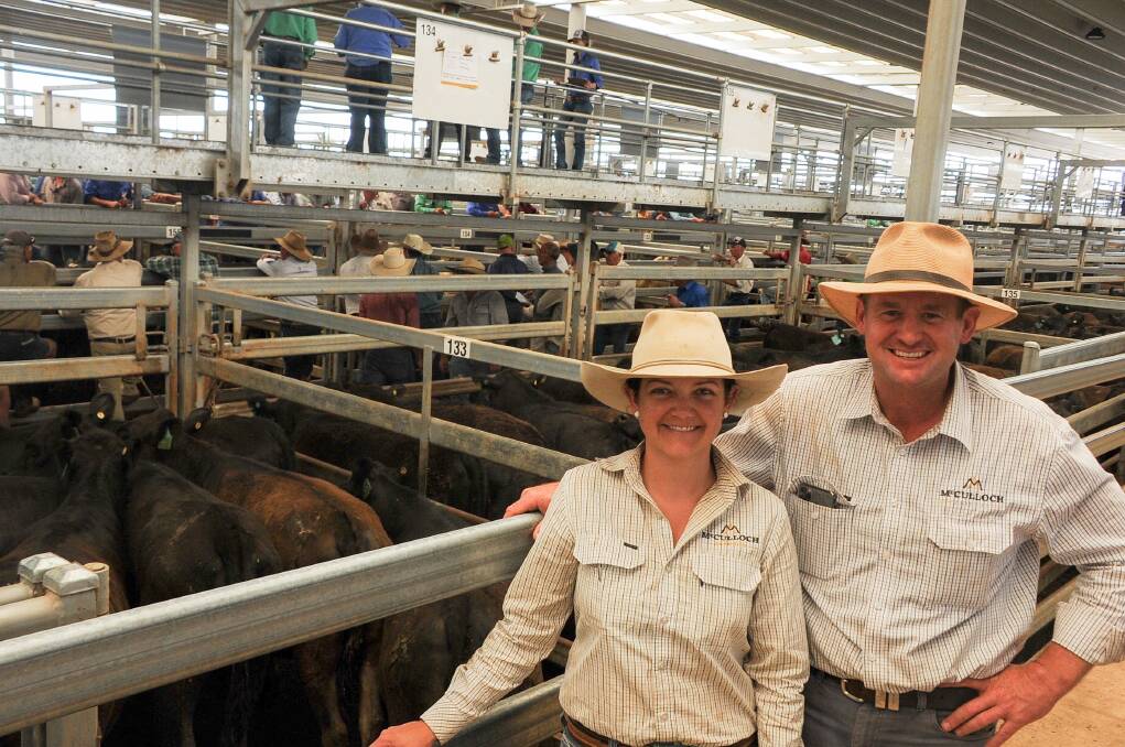 Karina and Daniel McCulloch of McCulloch Agencies with the line of Spring Park Station heifers. 