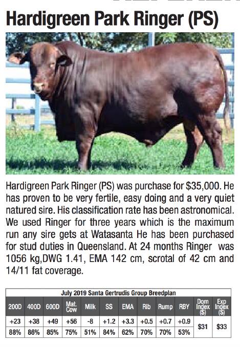 Hardigreen Park Ringer continues to pay dividends for the stud who unknowingly secured the bull a few years ago when the then 13-year-old Tom Watson put in a successful bid for $35,000. 