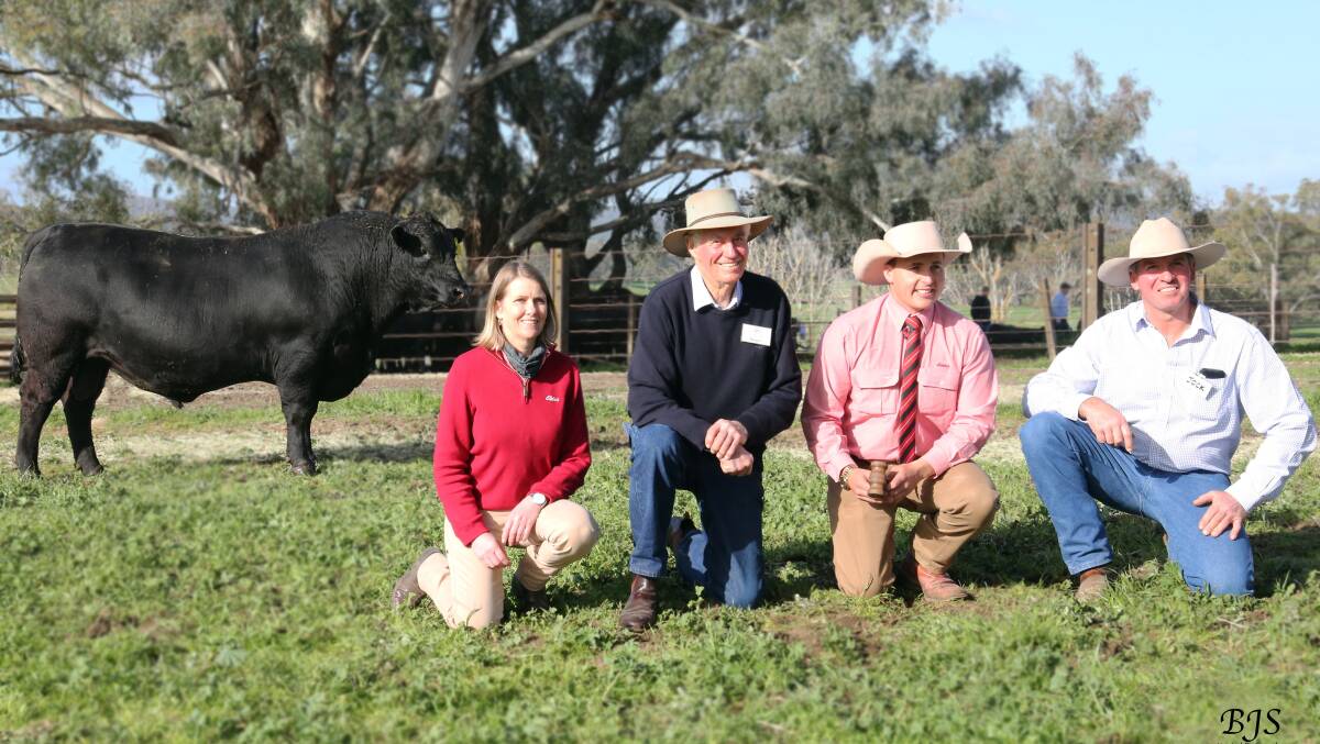 The $140,000 Dunoon Prime Minister with Elders studstock rep Jenni O'Sullivan, Roger and Jock Harbison and auctioneer Lincoln McKinlay (second from right).