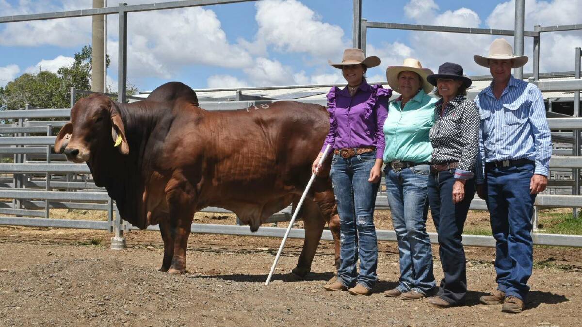 Topping the red section of the catalogue and day three proceedings, the $140,000 Palmvale Odyssey 3894 with vendors Remy and Beth Streeter, Palmvale Brahmans, Marlborough, and buyers Manny and Noel Sorley, Mt Callan, Dalby. Photos: Coulton's Country Photography