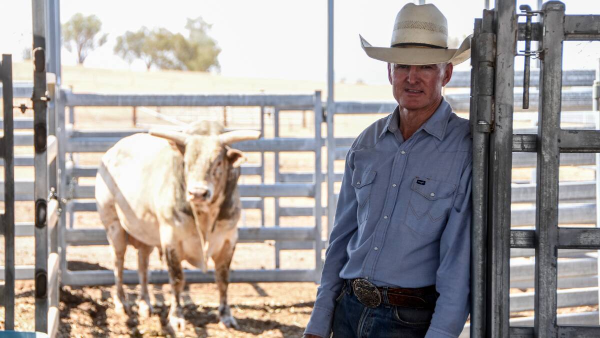 Tamworth's Scott Maynes with one of his leading bucking bulls. Pictures: Lucy Kinbacher