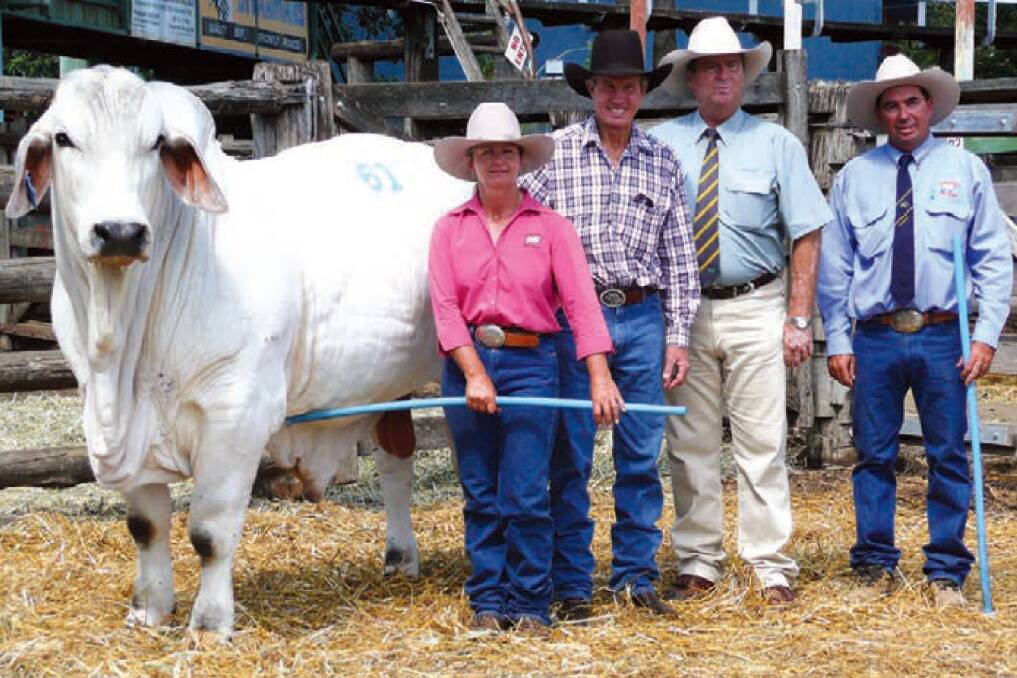 Rodger Jefferis of Elrose stud in Cloncurry and Landmark Auctioneer Peter Brazier (middle pair) are pictured with proud vendors Janelle and Matthew McCamley and the $240,000 Lancefield M Billionaire Manso. Picture: Brahman News