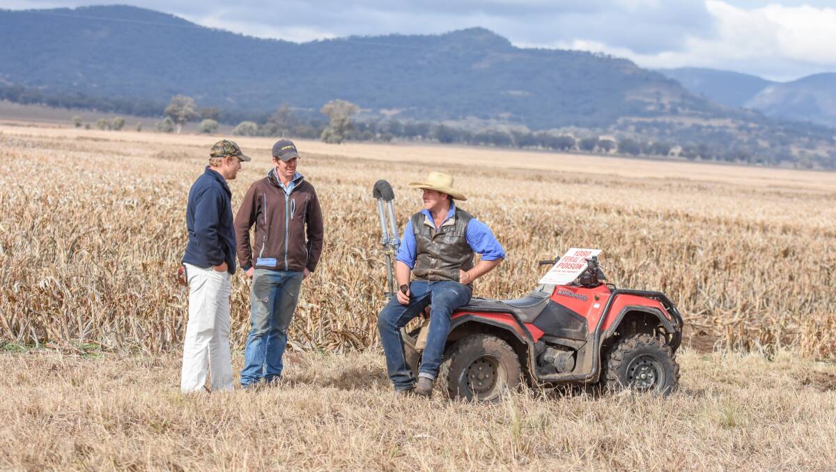 The establishment of a pest management group around the Premer/Tambar Springs area has resulted in the confirmed control of at least 600 feral pigs and another 911 eradicated in an aerial shoot.