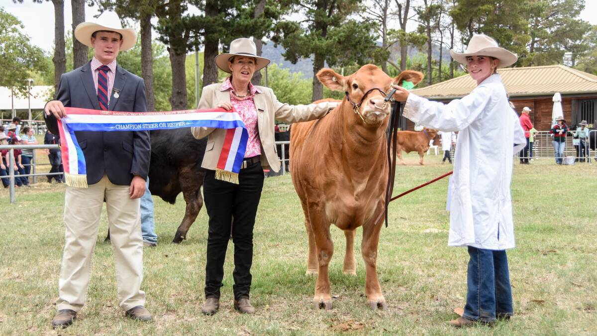The champion led steer or heifer in the open section of the hoof and hook competition from St Johns College is held by student Edwina Tink and sashed by judges Hamish Maclure and Kerrie Sutherland.