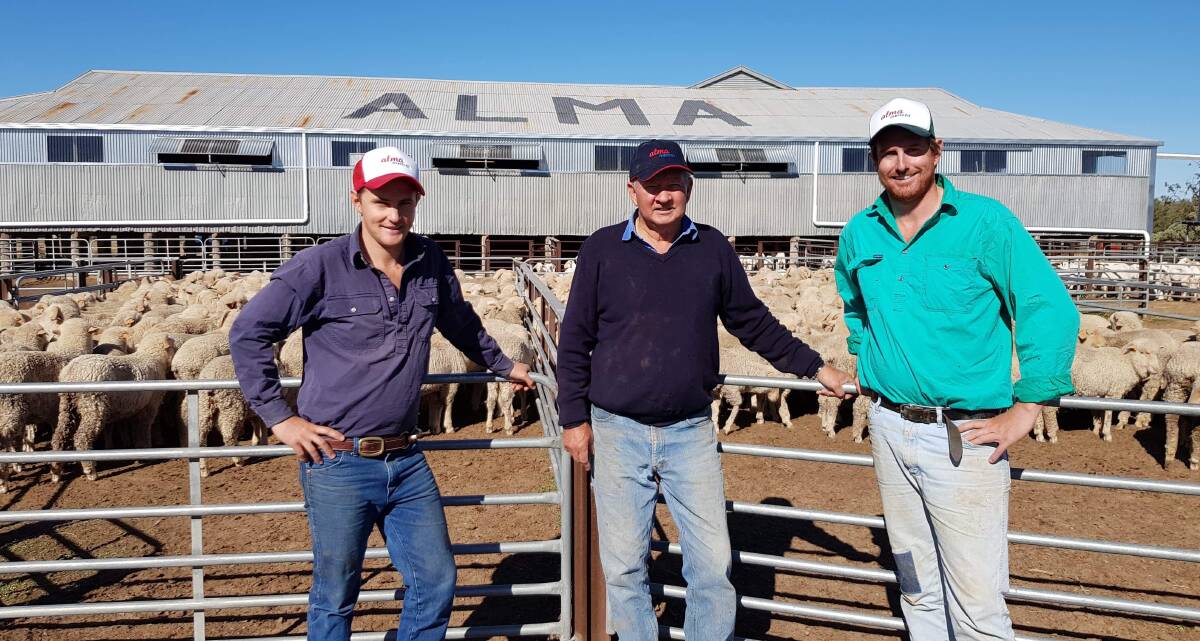 Will, Graham and Peter Morphett in front of their six stand shearing shed at Alma, Booligal in the midst of shearing 700 rams. Photo: Supplied