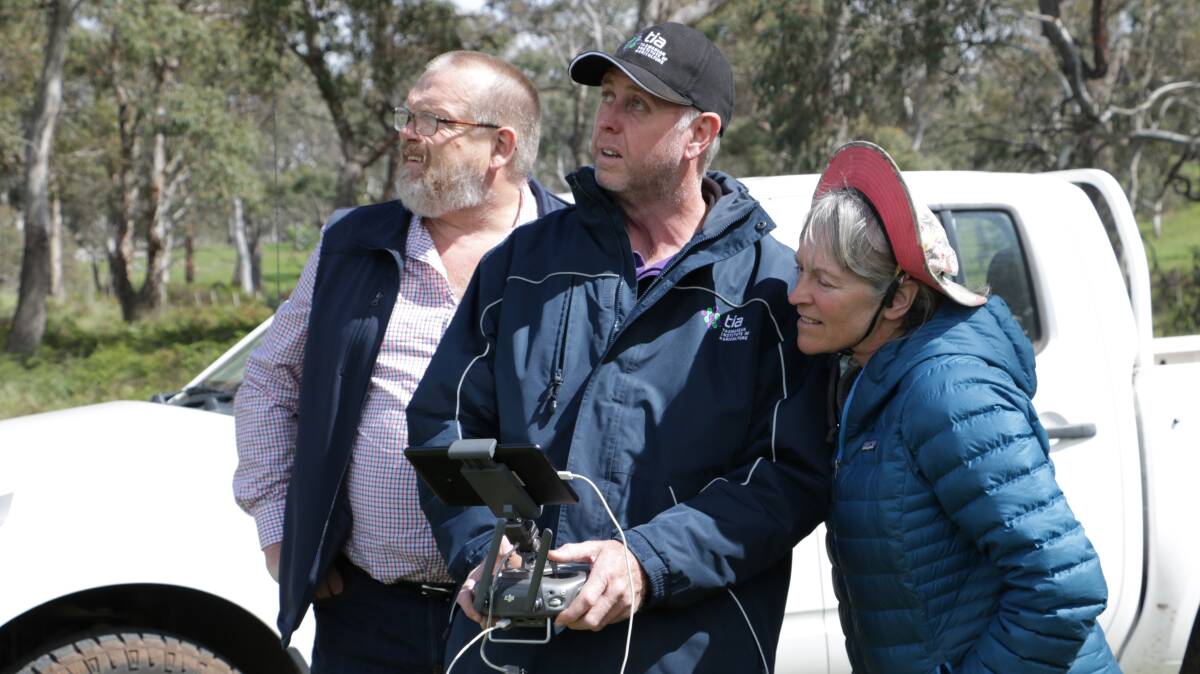 (L-R) TIA's Andrew Bailey and Craig Palmer with Tasmanian merino breeder Rae Young watch a drone film her flock from 40m in the sky.
