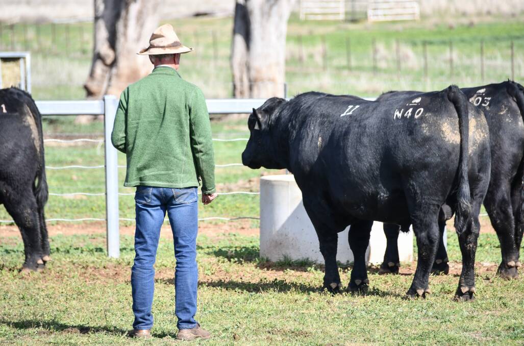 Vendor Chris Paterson was pleased with the consistency of their bull offering. 