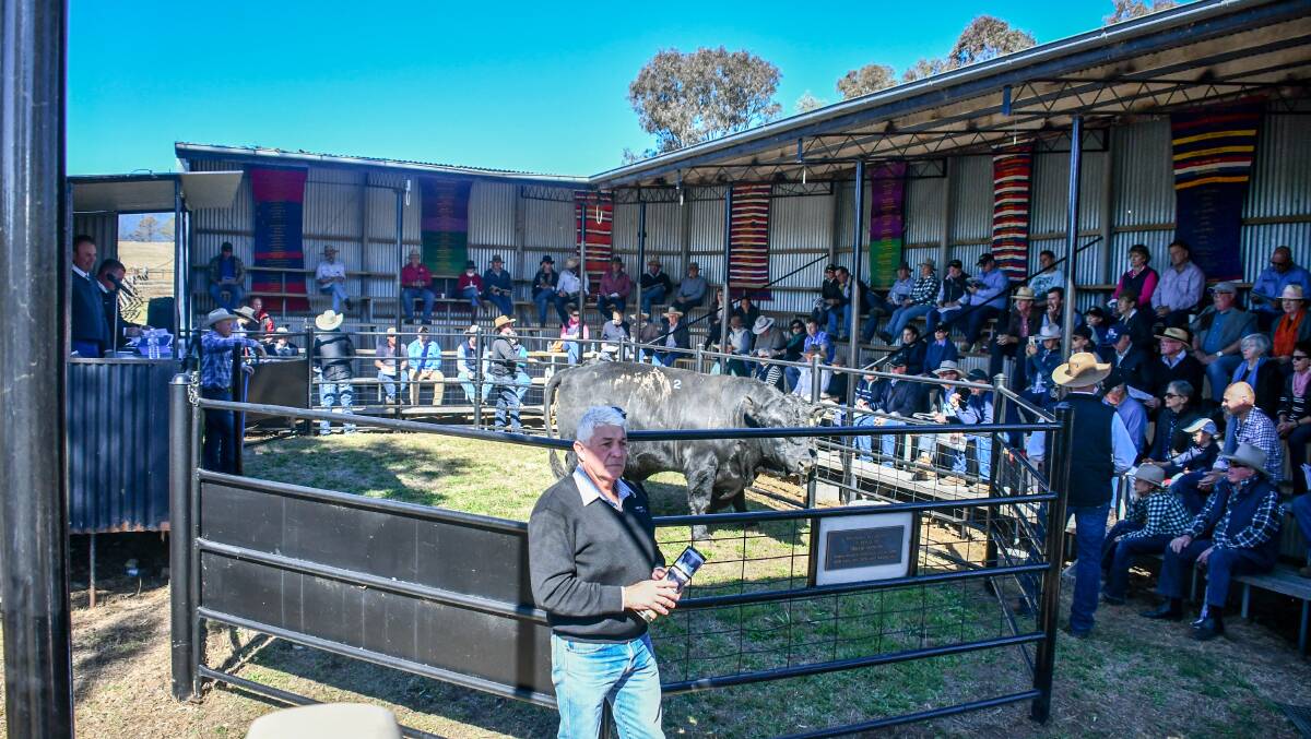 The Wombramurra stud has been sold to South Australia's Woonallee Simmentals. 