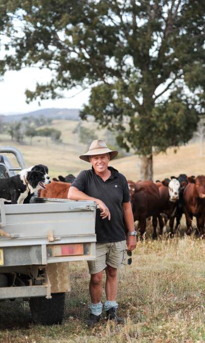 Warren Coventry of Lynoch Pty Ltd at Armidale will offer about 240 head of his EU accredited feeder steers on AuctionsPlus this Friday to be delivered in January. Photos: Lucy Kinbacher 
