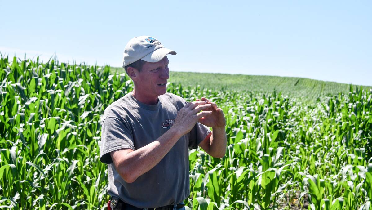 Grant Breitkreutz in one of their crops. 