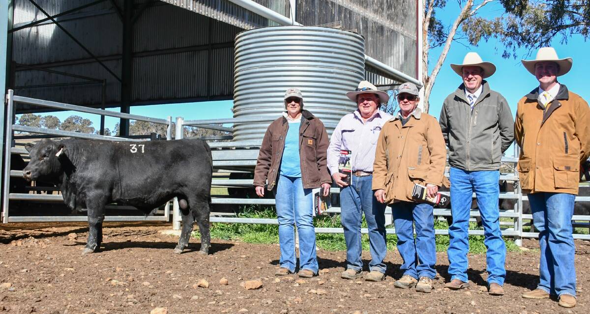 The $16,000 top price bull with buyer Helen Alexander, Glenmorgan stud principal Nicholas Morgan, buyer Chirs Knox, auctioneer Paul Dooley and Ray White agent Blake O'Reilly. 