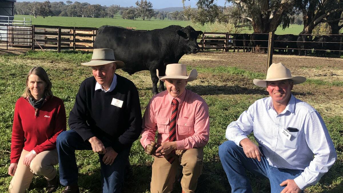 Elders studstock representative Jenni O'Sullivan, Albury, with Roger and Jock Harbison, Dunoon, and auctioneer Lincoln McKinlay (second from right). 