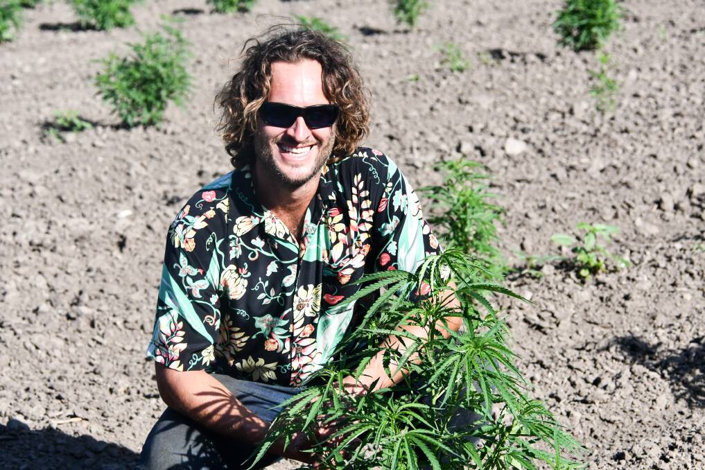 Aaron Peterson decided to look into hemp as a potential crop on their property earlier this year. 