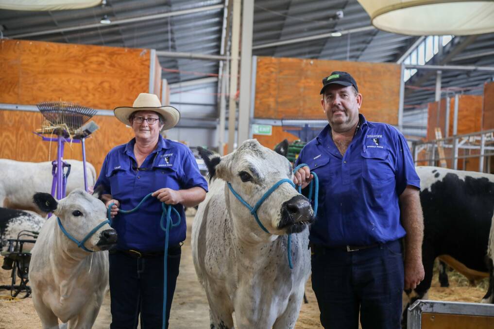 Leanne and Robert Bendeich of Hillview Speckle Park stud at Leconfield with calf Hillview Fantasia and cow Hillview Freeway. 