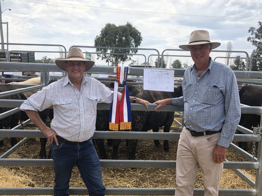 Ted Laurie of Knowla Livestock with Robert Gill of Alexander Downs and the pen of steers that achieved the highest daily weight gain. Photo: Supplied