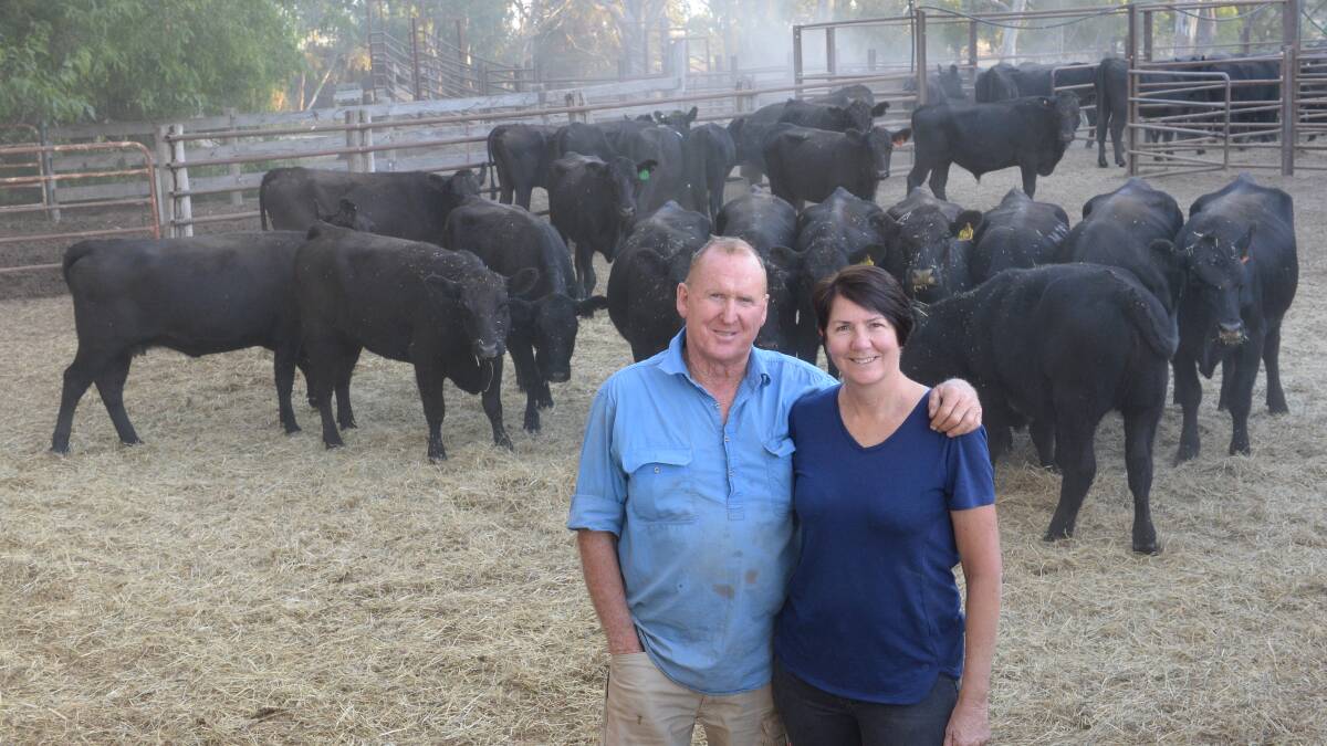 Barry Ashwin and Sally Mitchell, Wattle Creek, Torrumbarry, pictured last year with a load of mixed sex cattle, predominantly Angus sourced from Carcoar/Black Springs/Barnawatha. Photo: Rachael Webb 
