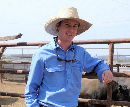 Northern Tablelands LLS land services officer for livestock, Max Newsome, has received calls about tips to achieving optimum results this joining. 