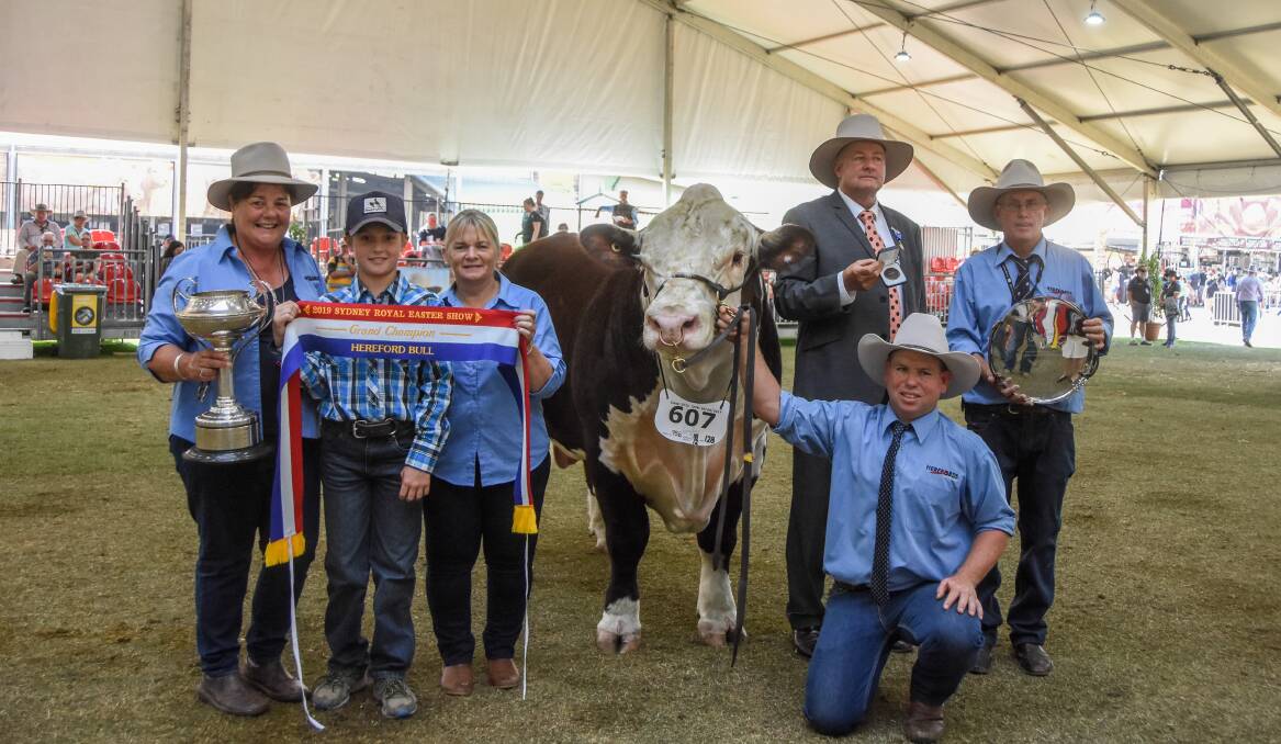 Senior and grand champion bull, Tycolah Queenscliff N029, with Therese Crowley, Bailey Hannaford, Janelle Manwaring, Ben Crowley, judge Peter Falls and Steve Crowley. 