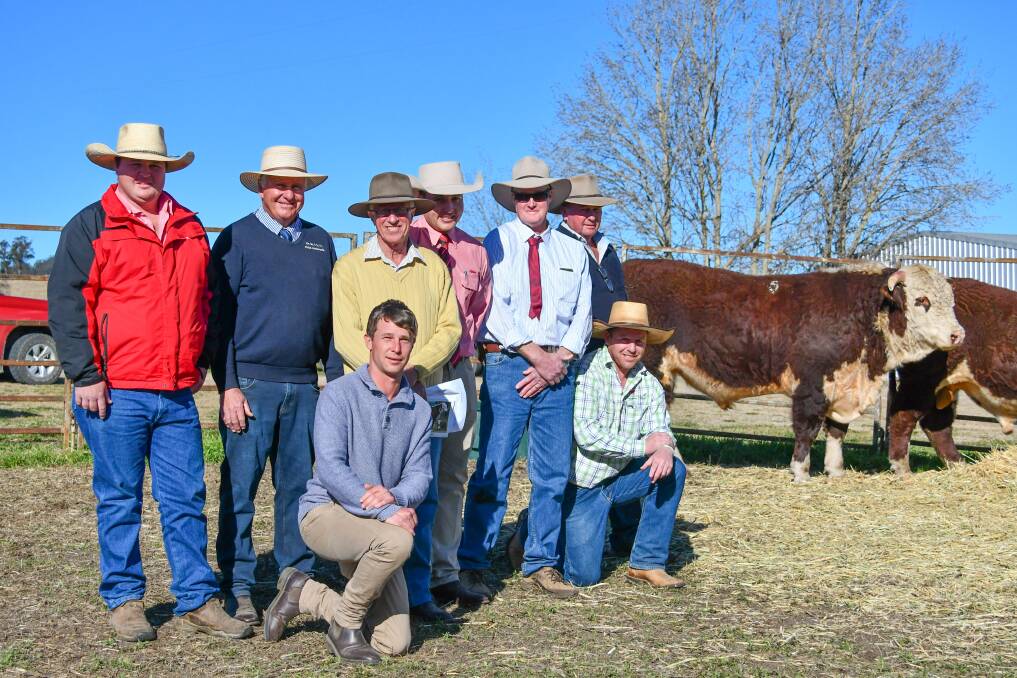 The $30,000 Amos-Vale Galloway P011 with Elders Cootamundra agent Charlie Butt, Colin Say and Co agent Craig Thomas, buyers Ross and Blake Smith, Glenellerslie stud, Adelong, Elders auctioneer Lincoln McKinlay, vendor Mark Campion and buyers Harvey and Andrew Jones, Beggan Hill, Harden. 
