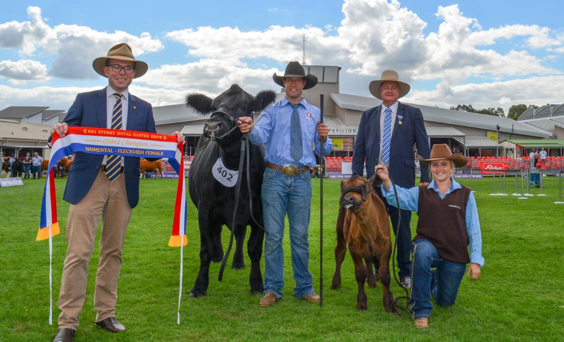 NSW Agriculture Minister Adam Marshall sashes grand female, Hobbs Livestock Keespake's Riddler, with Stuart Hobbs, Hobbs Livestock, Molong, judge Peter Falls, and Lilly Hend, Bourke.