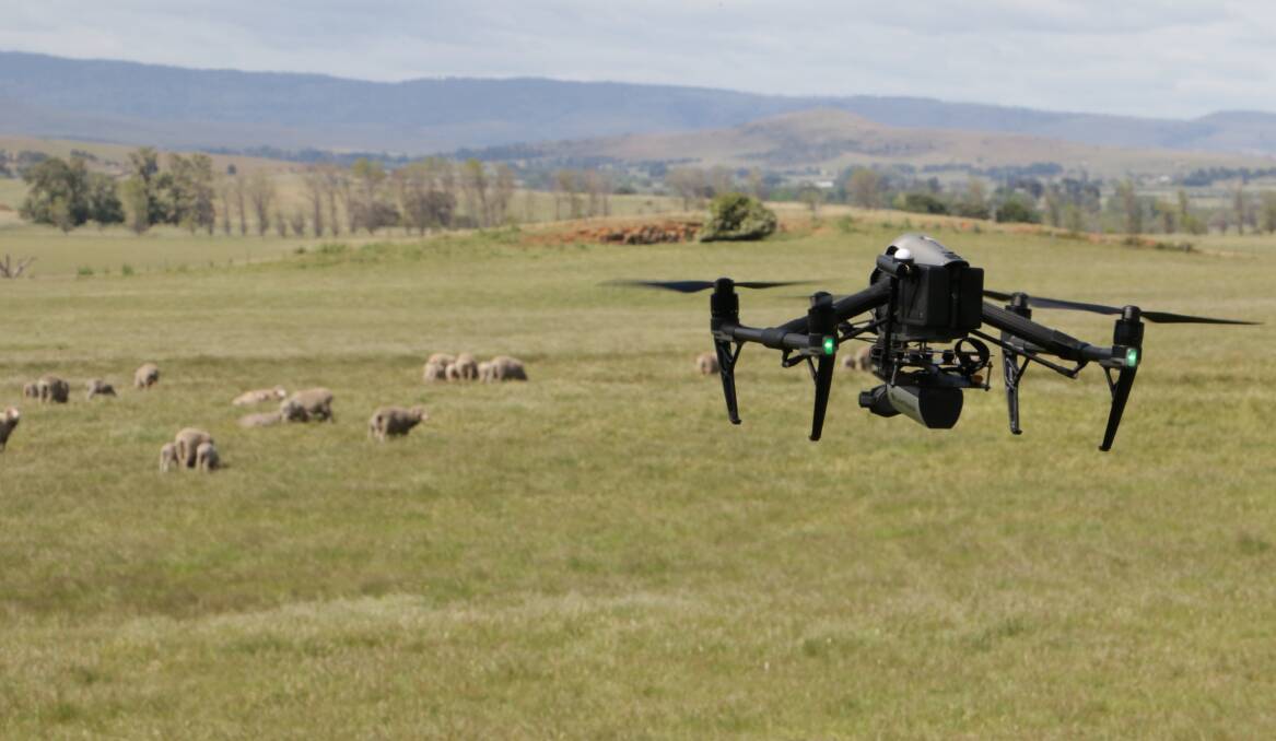 The Lambulance drone can provide producers with thermal imaging and paddock health assessments without distrubing stock. Pictures supplied by TIA. 