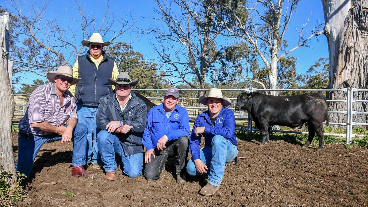 Eaglehawk stud principal Ian Vivers with Ray White agent Tim Bayliss, and bulk buyers Mick Kelsall, Craig Wilson and Luke McWilliam of Parraweena Highlands Cattle Company and Marengo Pastoral Company. Pictured is their $18,000 Eaglehawk Firetruck M051 son.