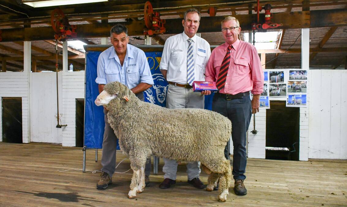Alfoxton Merinos stud principal Chris Clonan holds the $4000 top price ram which was sold by auctioneer Paul Dooley and secured over the phone by Elders stud stock's John Newsome on behalf of Mayfield Estate, Tasmania. 
