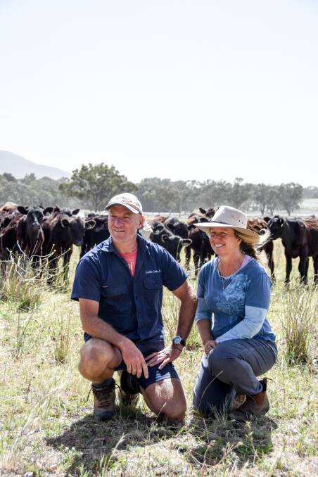 Andrew and Cathy Williamson, Myanbah, Yarrowyck, with some of their Angus weaners. Pictures: Lucy Kinbacher 