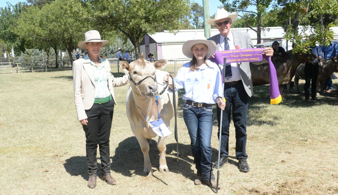 The grand champion Square Meaters female was Weethalle Georgia from the Weethalle stud. Picture: Rachael Webb
