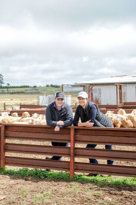 Maddi and Emma Dawson with some of their sheep. Photo: Lucy Kinbacher