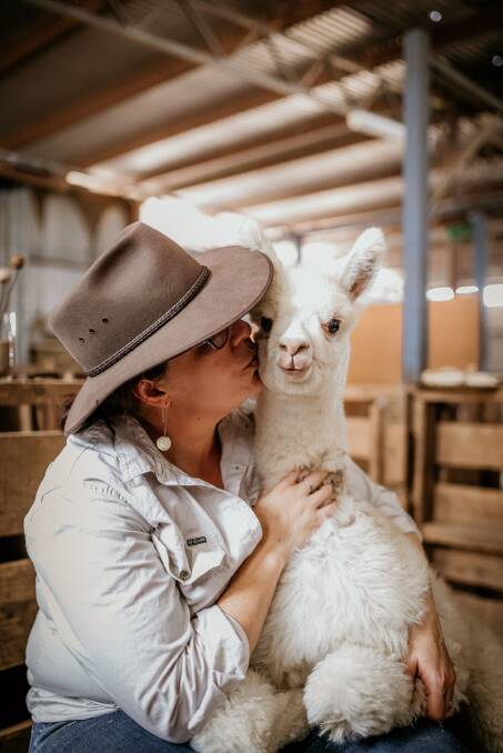 Alpacas have become a key part of their business. 