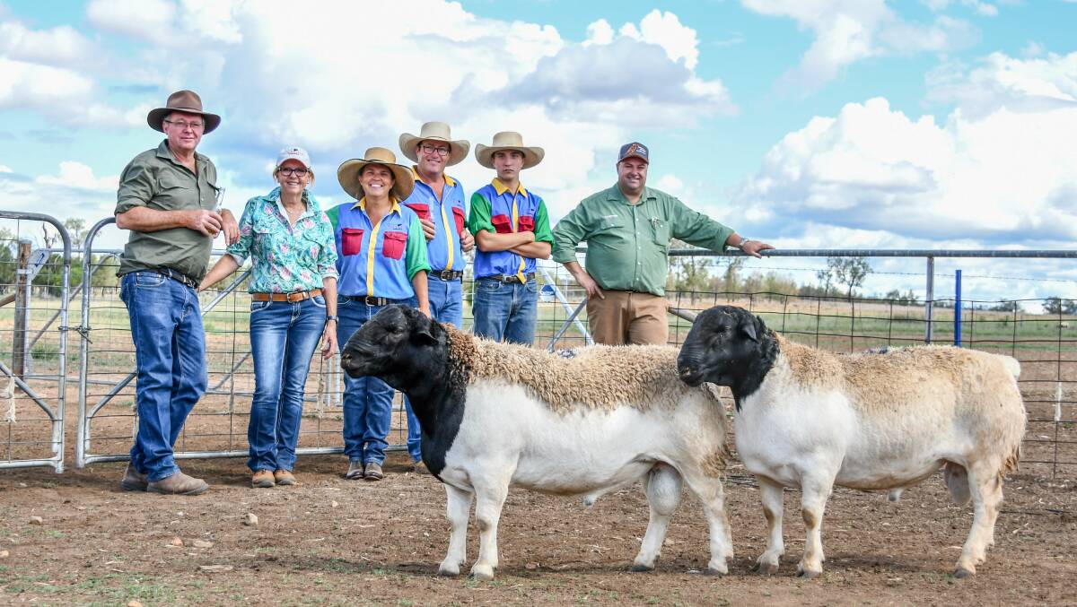 The $6000 top price ram (left) with buyers Phil and Trish Palmer, Ivanhoe, Amarula's Lorroi, Justin and Sam Kirkby, and Nutrien Studstock's Brad Wilson. 