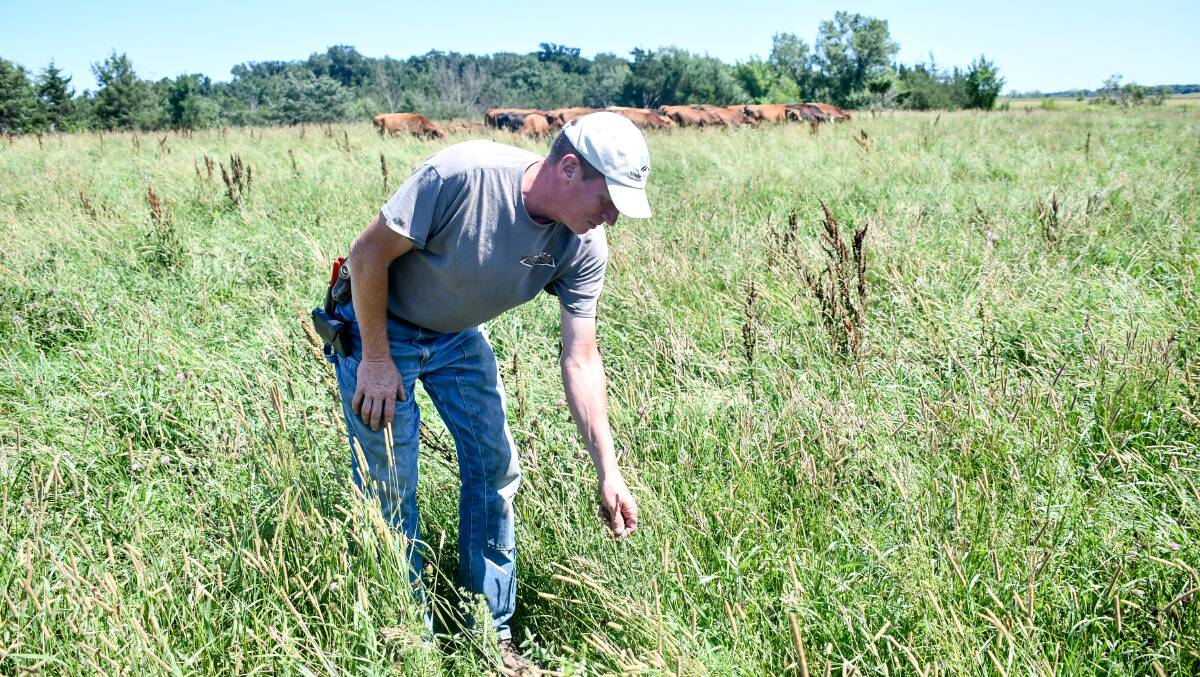 Grant Breitkreutz shows the amount of cover in some of their paddocks. 