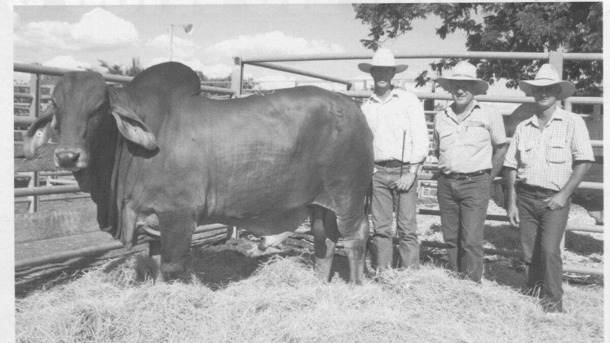 $145,000 NCC Zambezi with vendor Brett Nobbs and buyer Stephen Lamb and Lee Wallace. Picture: Brahman News