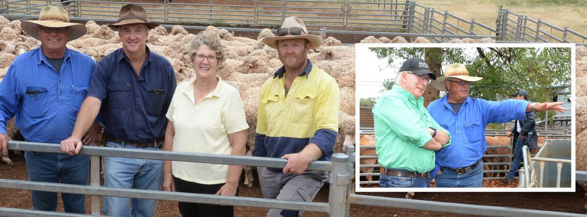 The Milbank flock of the Carruthers family, Tullibigeal, won the 2021 Lake Cargelligo Maiden Merino Ewe competition. Pictured is flock classer Michael Elmes, Narrandera, with winners Barry, Vickie and Jared Carruthers among their ewes. (Insert) Kym Hannaford, Nutrien Ag, Wagga Wagga, discusses finer points of some ewes with classer, Michael Elmes, Narrandera.