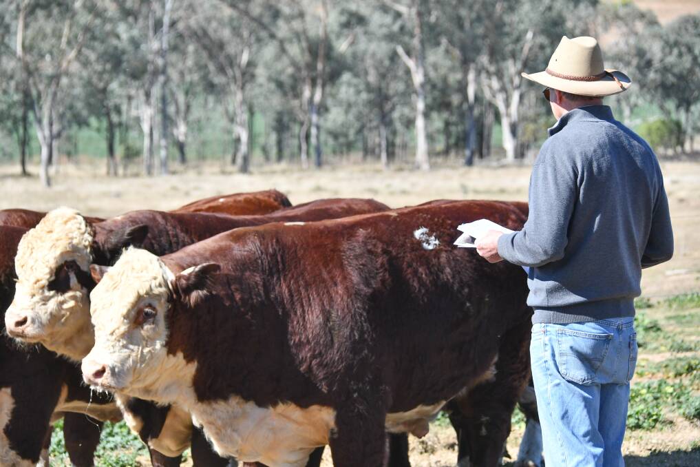 Multi-breed EBV research receives $7.3m boost