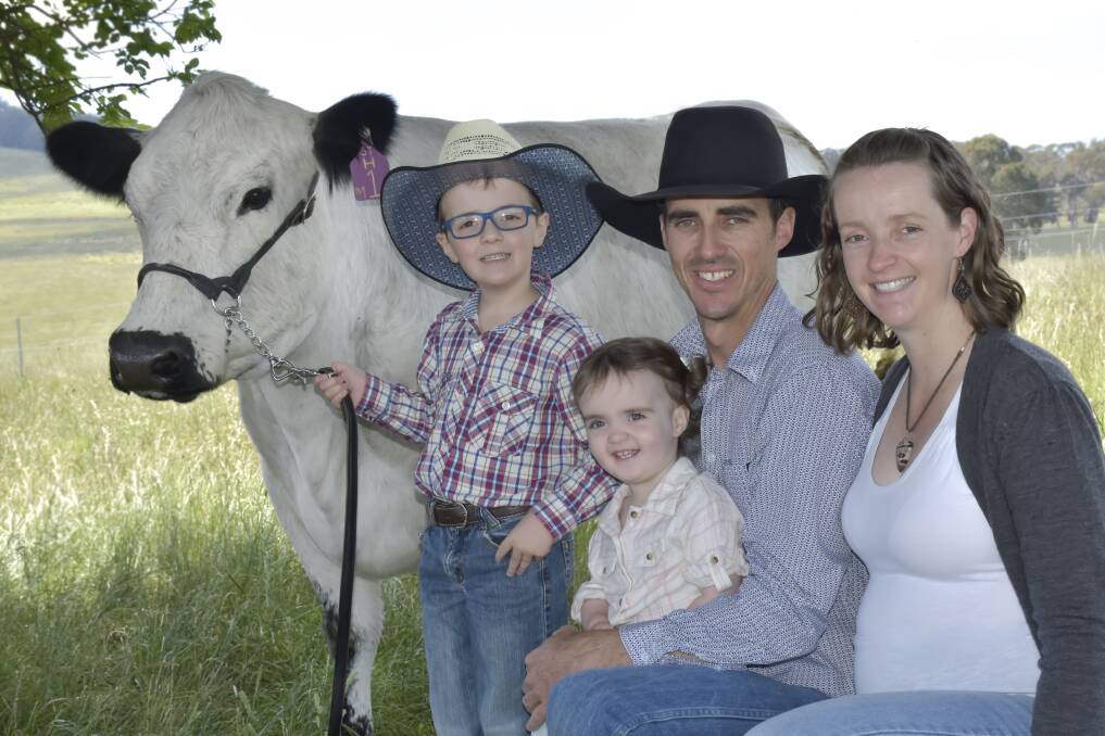 Travis, Grace, Grant and Kylie Kneipp with Battalion Heartbreaker M1 who had embryos make $5050/hd. Photo: Supplied 