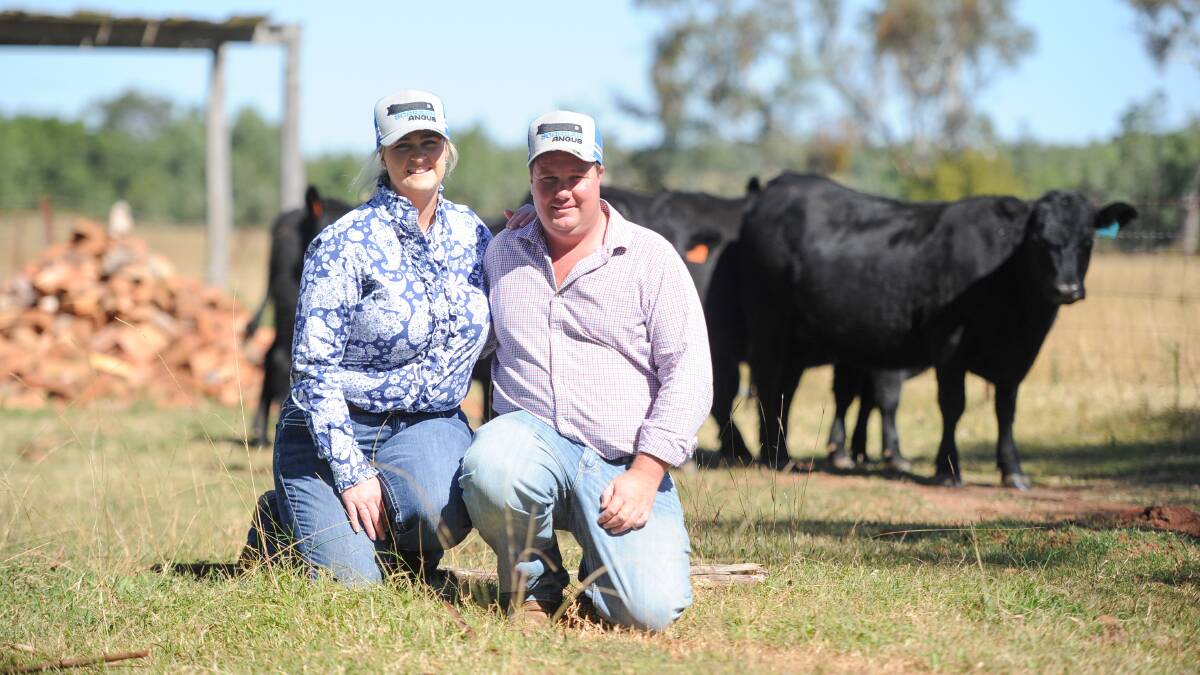 Christine Pointing and Zac McInerney of Scarbah Angus at Bon Vista, Inverell, are focused on rebuilding their genetic base. Photos: Lucy Kinbacher