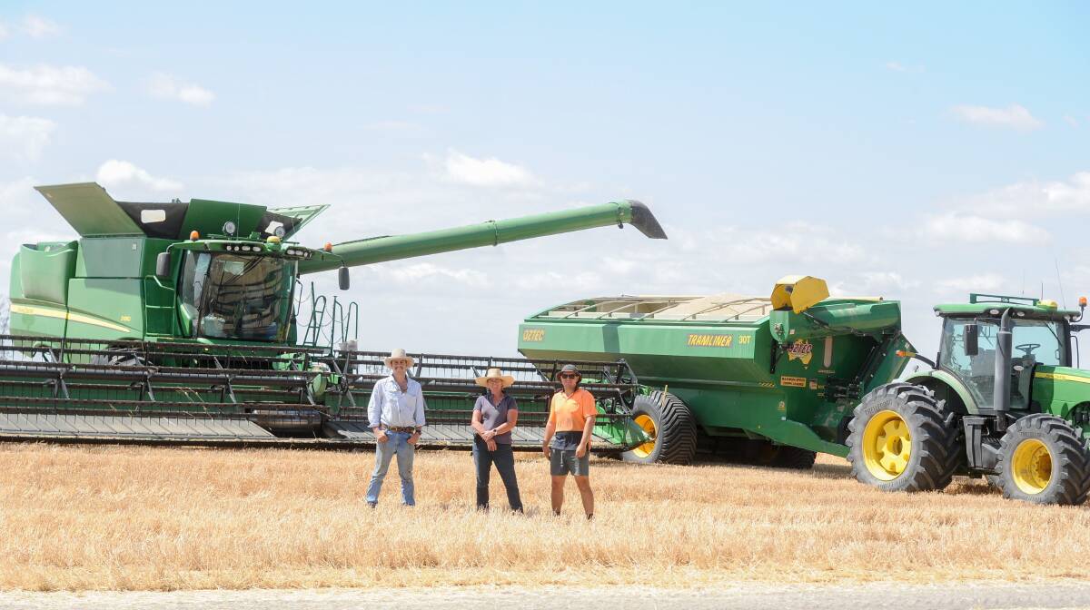 Charles Pitman and Charlie Onus were busy working for Vicki Gall (centre), Wallambah, Moree, as harvest kicked off on Saturday. 