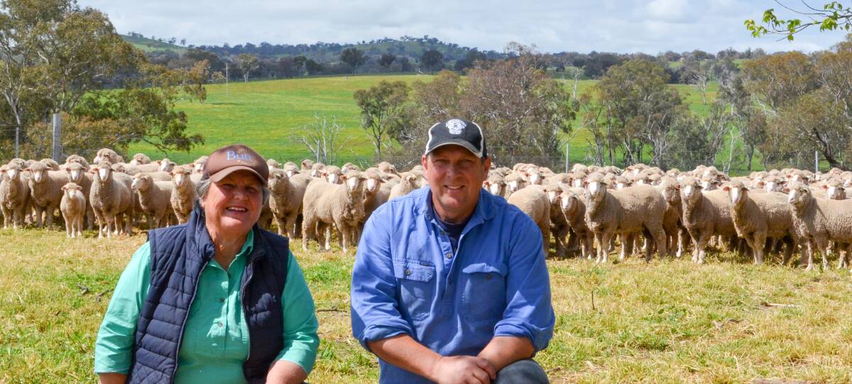 Jane and Andrew Harding with a draft of their June-shorn, Glenwood-blood maiden ewes at Yass.