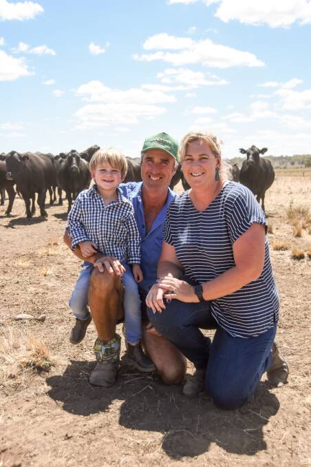 Scott and Laura Simpson with their son Flynn of Glennon at Inverell with some of their Angus and Ultrablack breeders. Pictures: Lucy Kinbacher