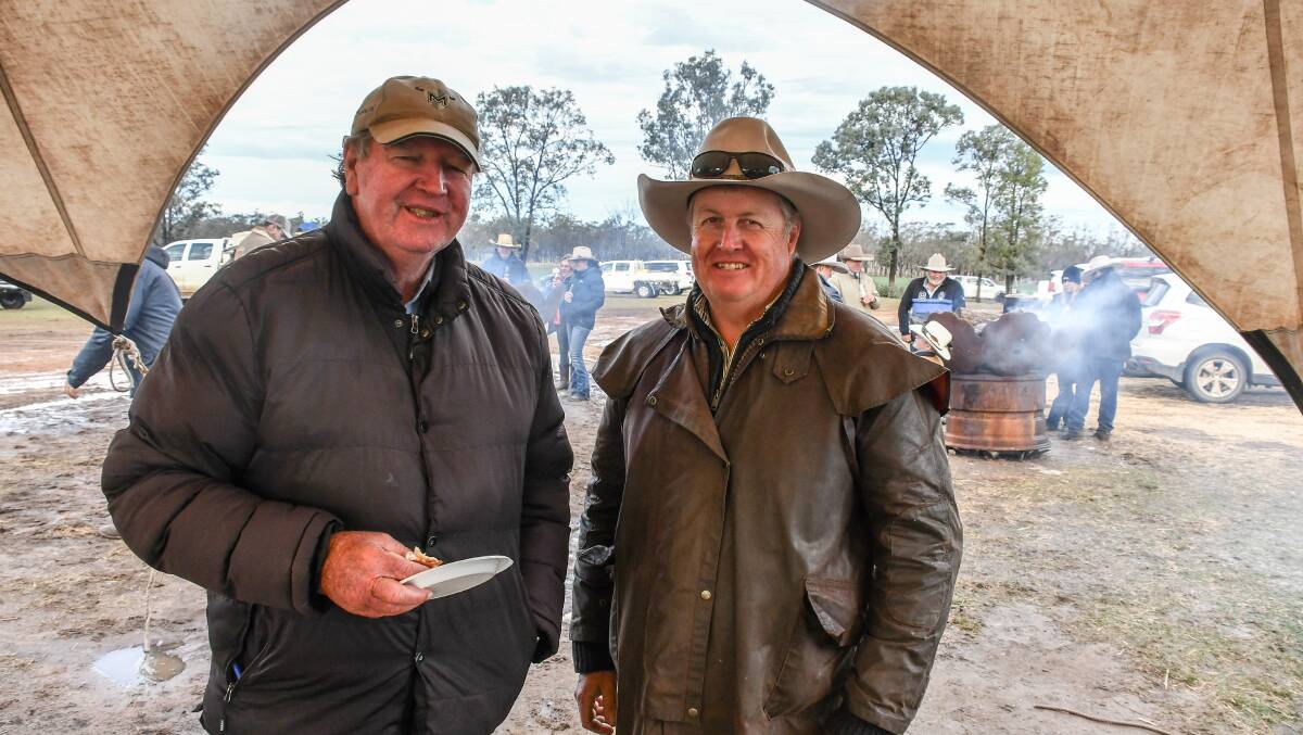 Dick Whale of Independent Breeding & Marketing Services with Scott Guest, Delungra. 